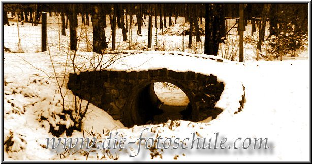 BRUECKE.JPG - Verschneite Brücke im Wald nahe Haltern
