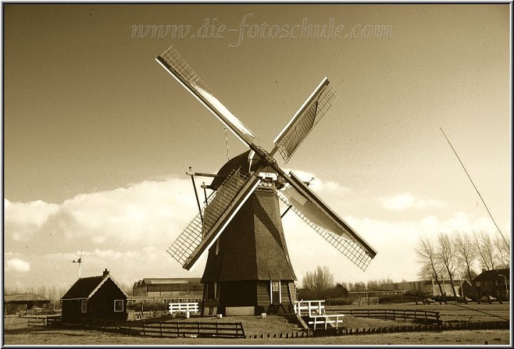 Egmond_fotoschule_34.jpg - Windmühle bei Egmond aan Zee in Holland