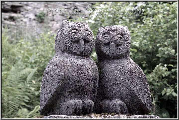 Eulen_fotoschule.jpg - Die beiden Eulen aus Stein entdeckte ich auf dem Hof des Kloster Engelports an der Mosel.
