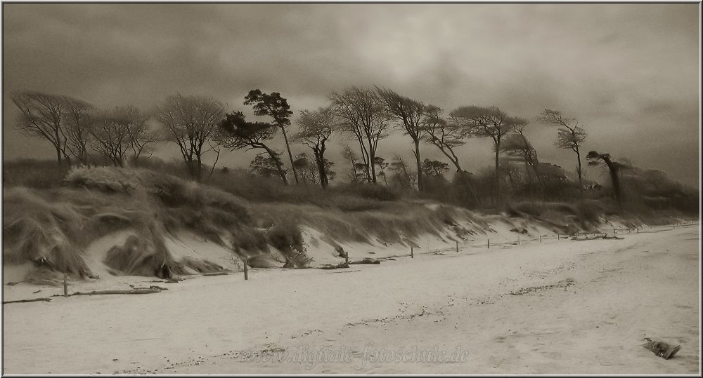 Weststrand bei Prerow am Dar