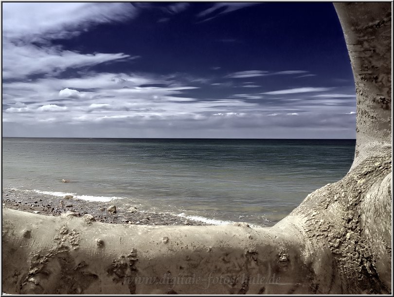 Am Weststrand bei Prerow, aus der Serie Zingst im Mai. Am Weststrand bei Prerow, aus der Serie Zingst im Mai.