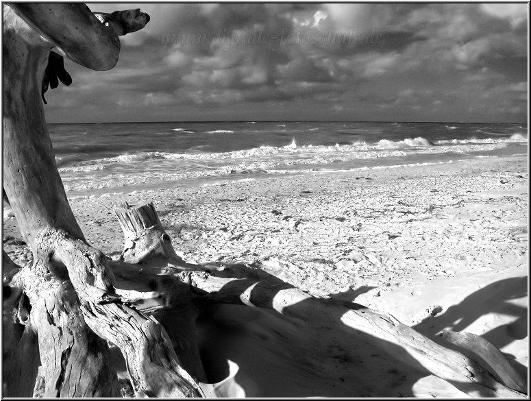 Aus meiner Serie Am Darss im Herbst, entstanden am Weststrand bei Ahrenshoop.