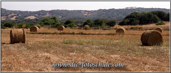 Aus der Fotoserie Menorca, per Klick gehts zum Webalbum