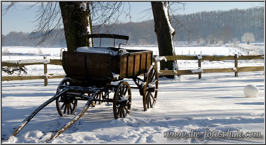 Der Winter hlt eine Vielzahl an Motiven fr Dich bereit