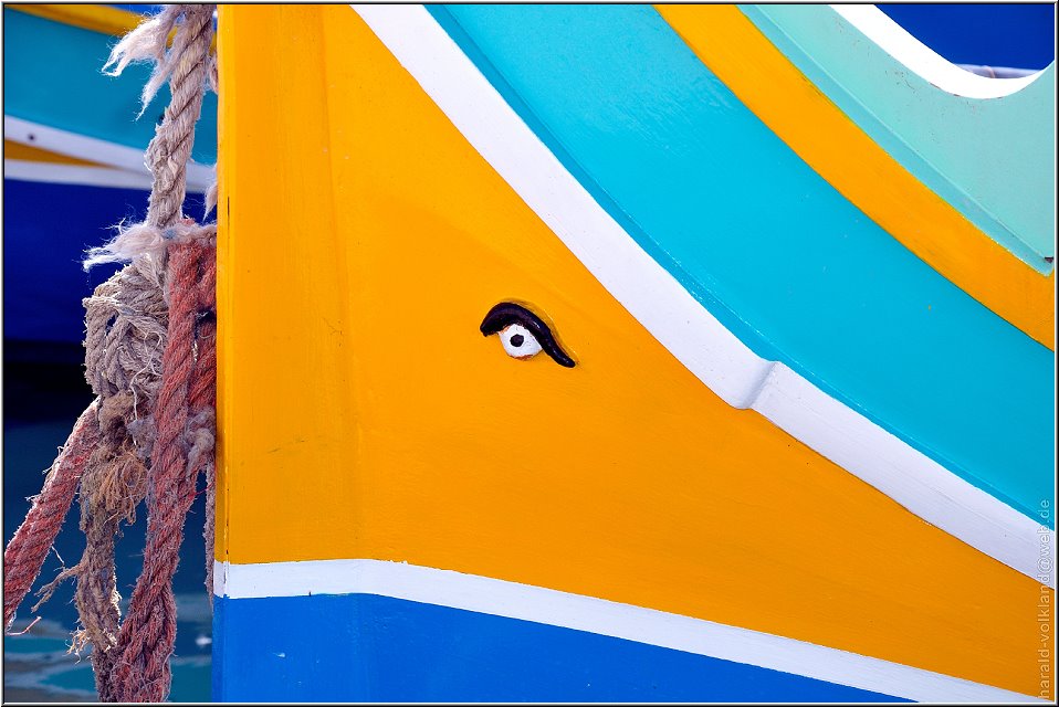 Fotofan Harald hat ein Auge für Farben Fotofan Harald hat ein Auge für Farben