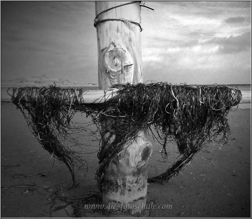 Am Nothafen auf dem Darss an der Ostsee