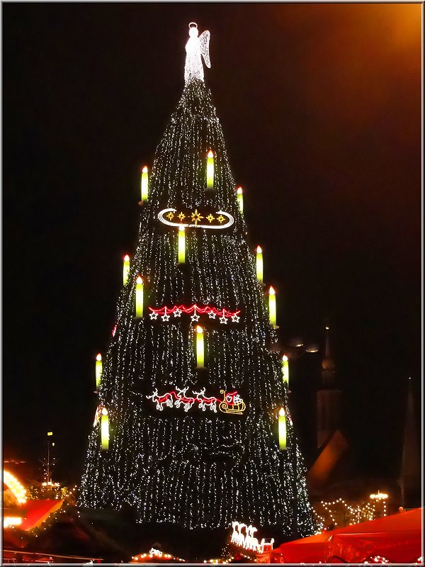 Weihnachtsbaum_Dortmund_01