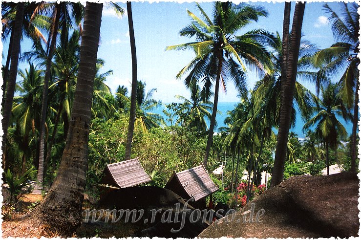 Das Foto entstand als Dia auf Samui, mit Diascanner eingescannt