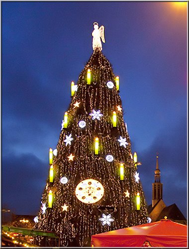 weihnachtsbaum_mit_Schale