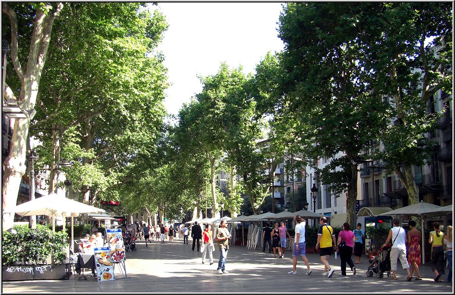 AIDA178.jpg - Die Las Ramblas ist eine 1,5 Km lange Promenade im Zentrum von Barcelona, die den Hafen mit dem Plaça de Catalunya verbindet. Sie wird zu beiden Seiten von Fahrbahnen für Autos flankiert. Manchmal flitzen Kellner über die Strassen, um die Touris an den Tischen auf der Rambla zu bedienen.