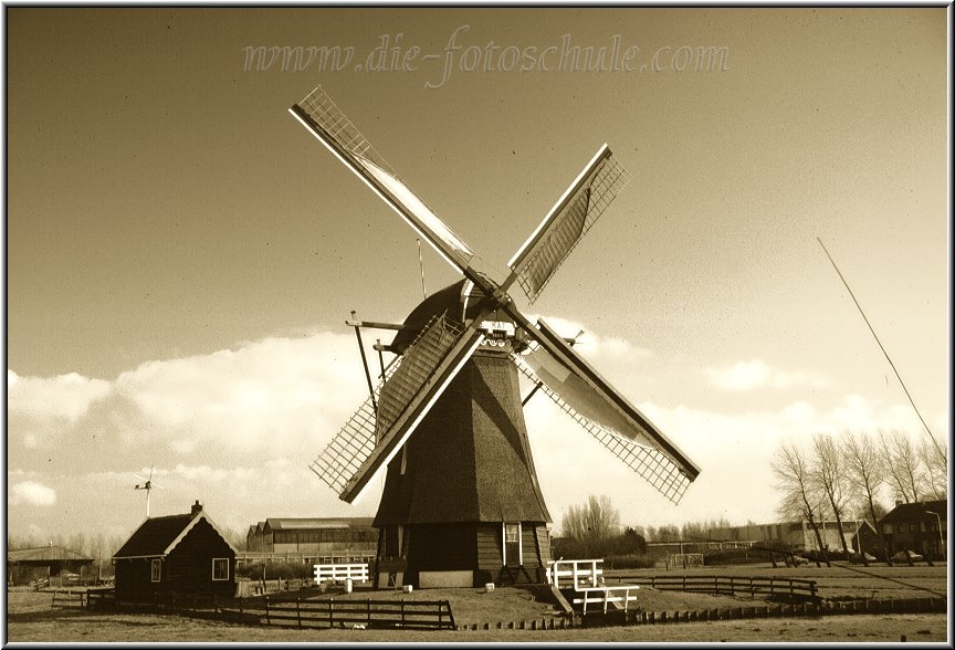 Egmond_fotoschule_34.jpg - Windmühlen gehören zu Holland, wie der Käse zu Alkmaar. Diese Mühle liegt im Hinterland zwischen Egmond und Alkmaar.