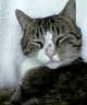 Dr�ck mich f�r weitere Informationen