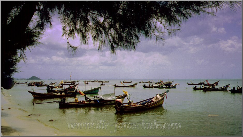 Koh_Samui116.jpg - Auf Koh Samui Thailand 1998