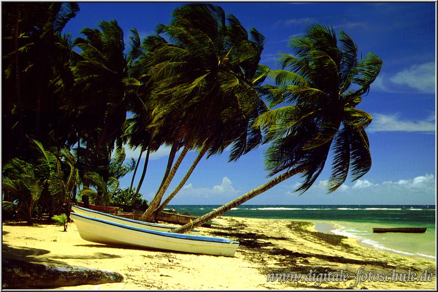 Samana_Karibik_003.jpg - Auf der wunderschönen Halbinsel Samana Karibik bei Las Terrenas 1996