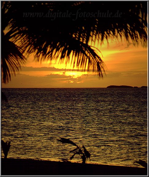 Samana_Karibik_012.jpg - Auf der wunderschönen Halbinsel Samana Karibik bei Las Terrenas 1996