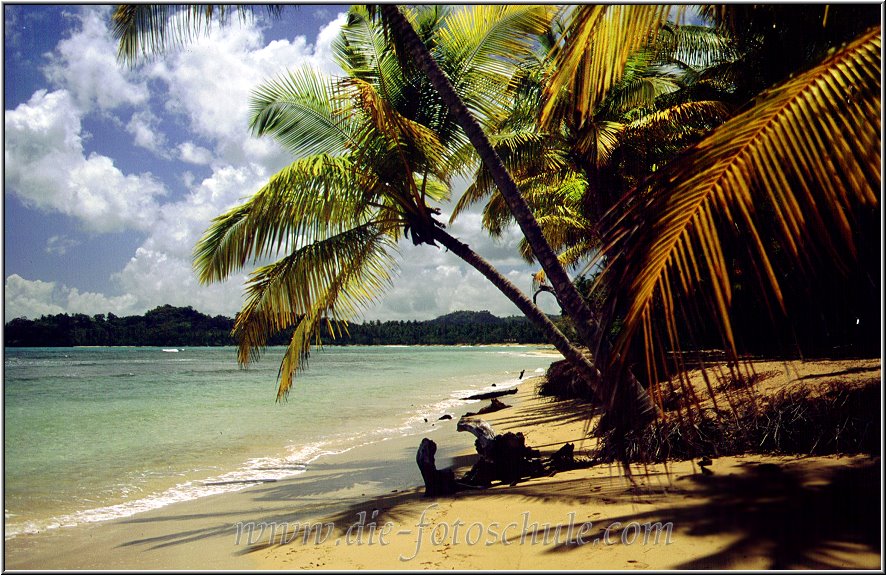 Samana_Karibik_020.jpg - Auf der wunderschönen Halbinsel Samana in der Karibik an deri Playa Bonita 1996