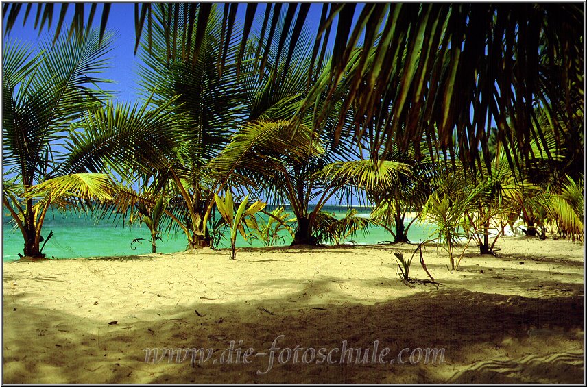 Samana_Karibik_045.jpg - Auf der wunderschönen Halbinsel Samana Karibik bei Las Terrenas 1996