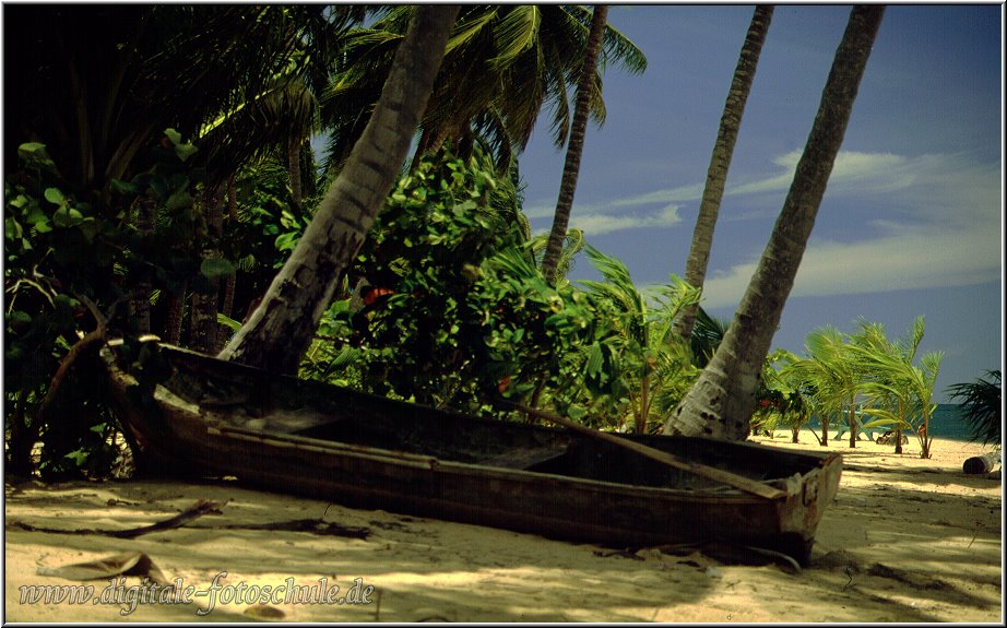 Samana_Karibik_081.jpg - Auf der wunderschönen Halbinsel Samana Karibik bei Las Terrenas 1996