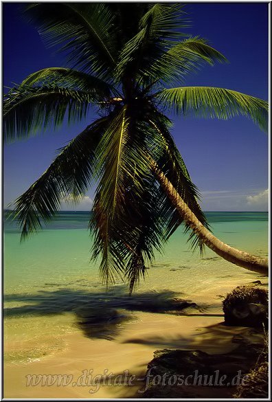 Samana_Karibik_082.jpg - Auf der wunderschönen Halbinsel Samana in der Karibik an deri Playa Bonita 1996