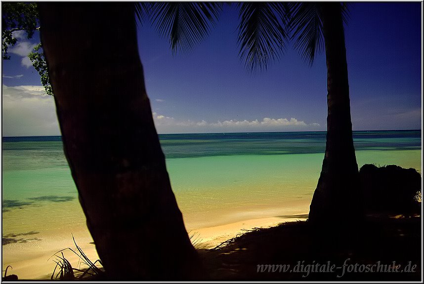 Samana_Karibik_087.jpg - Auf der wunderschönen Halbinsel Samana in der Karibik an deri Playa Bonita 1996