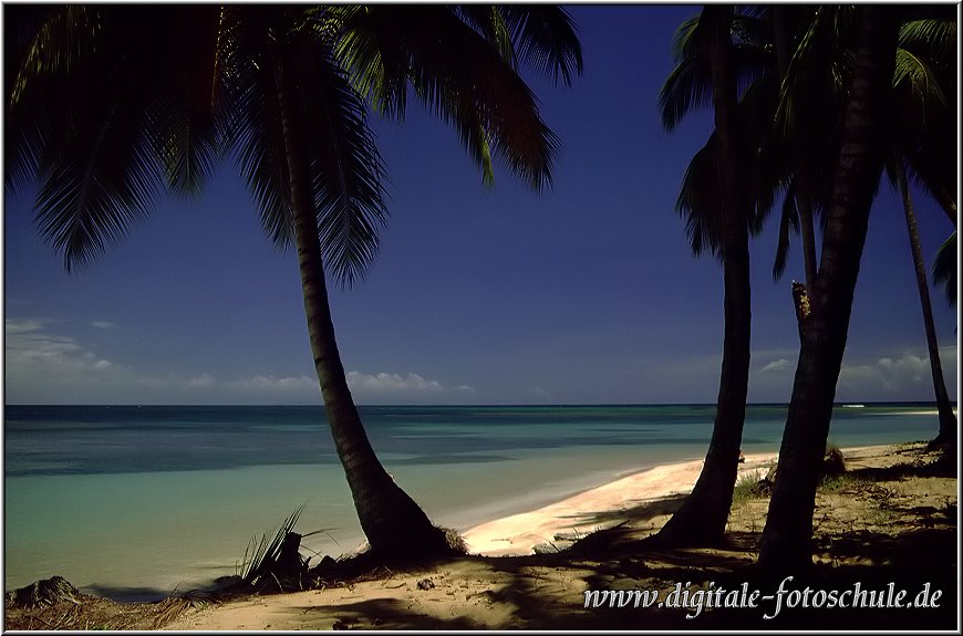 Samana_Karibik_088.jpg - Auf der wunderschönen Halbinsel Samana in der Karibik an deri Playa Bonita 1996
