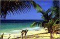 Samana_Karibik_046