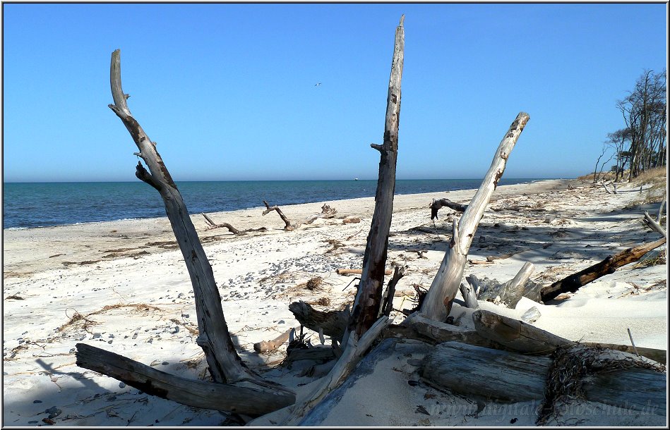 Am Weststrand