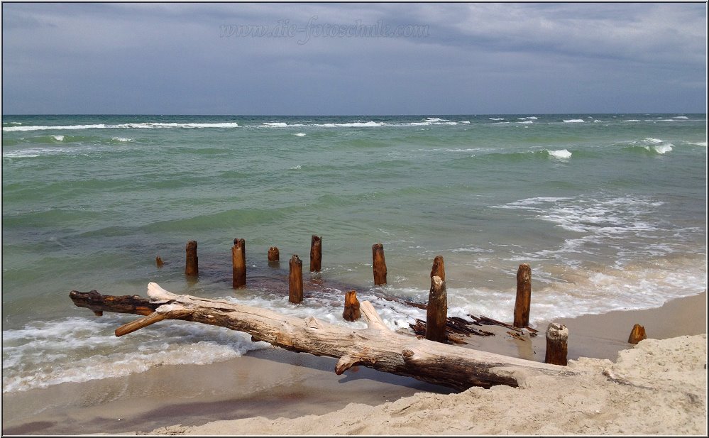 Ahrenshoop_2014_008.jpg - Poller, erledigter Baum, Sand und Meer. Das ist der Mix zum Kraft schöpfen an der See.