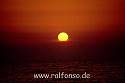 Sonnenuntergang_Carducci_kl