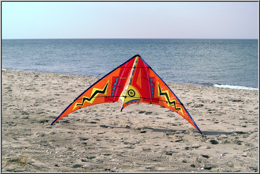 Thunderbird_Weststrand_Kite-Corner01.jpg - Mein Thunderbird am Strand von Prerow. Hier sind die Bedingungen ideal für stundenlange Flüge; sofern einem nicht vorher die Finger abfrieren....