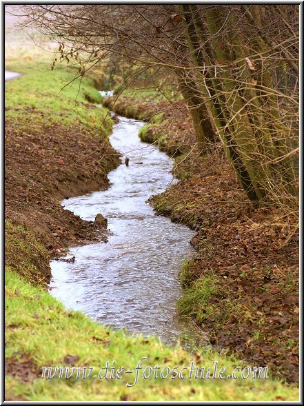 Bachlauf_Schwerte.jpg - Ein Bach in Schwerte.