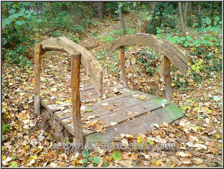 Bruecke_im_Schwerter_Wald.jpg - Kleine Brücke im Wald von Berghofen (Stadtteil von Dortmund). Mit Foto-Handy K800i fotografiert.
