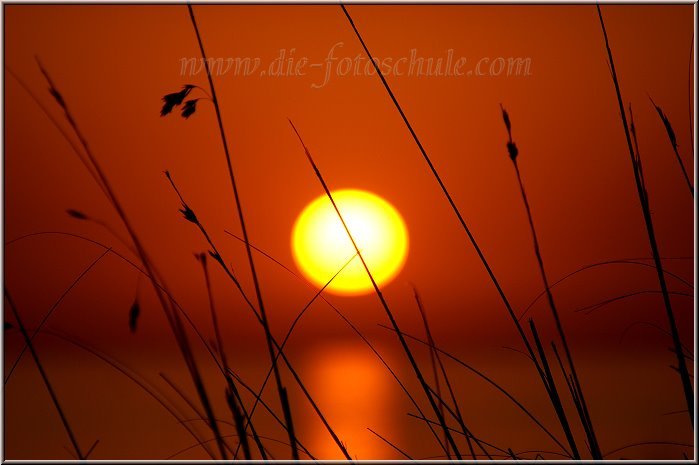 Cavalleria_41.jpg - Sonnenuntergang bei Cap de Cavalleria auf Menorca. Aufgenommen mit 500mm Brennweite.
