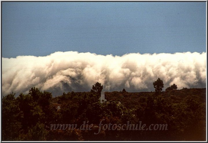 Cumbrekocht3.jpg - Ein echtes Highlight von La Palma ist die Cumbre.Sie teilt La Palma in Ost und West.Das allein wäre ja nichts besonderes, aber sie teilt La Palma gnadenlos in eine westliche Sonnenseite und eine östliche Regenseite. Die Wolken schaffen es nicht, über diesen Gebirgskamm hinwegzukommen und bleiben wirklich daran hängen. Schon zu Hause habe ich ständig von dem Phänomen erzählt bekommen, wenn die Cumbre kocht. Dann sieht es vom Ferienhaus aus immer so aus, als ob ein überdimensional riesiger Topf langsam überkocht.Und genauso sieht es aus.Unglaublich.Die Wolken quillen etwas über die Kante hinweg und verschwinden einfach. An der anderen, also östlichen, Seite der Cumbre sieht das allerdings deutlich trostloser aus. So sicher im Westen die Sonne scheint, hängt da alles in dichtem Grau.