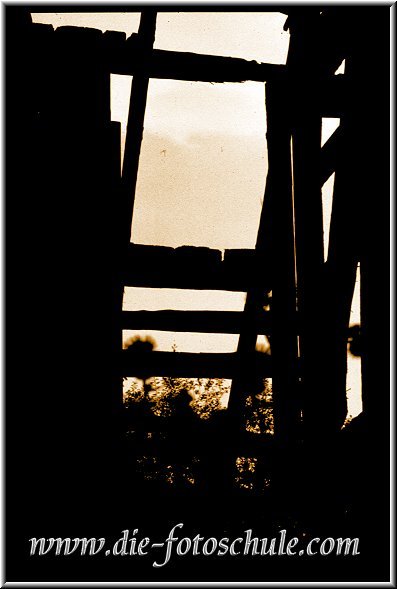 balkenhaus.jpg - In einer Ruine in Dortmund