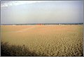 CaSavioStrand