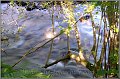 Fotoschule_Bach_lange_Zeit3