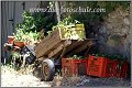 Fotoschule_Bolgheri_013