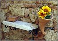 Fotoschule_Massa_Marittima_020