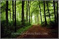 Wald_Ratekau