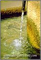 brunnen