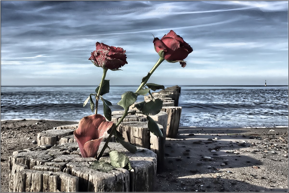 Strand-Art oder besser Strand-Romantik in Graal-Müritz an der Ostsee