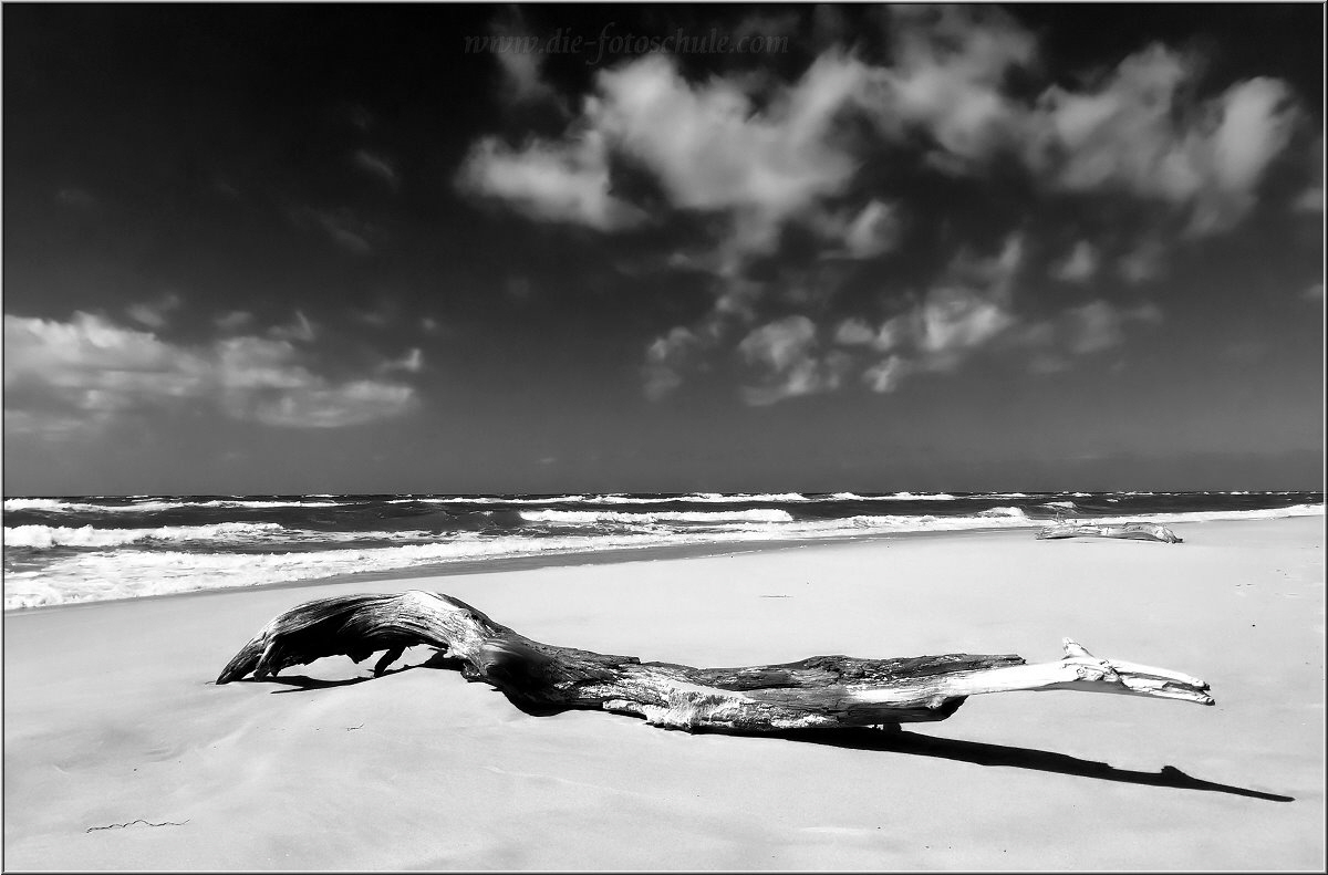 Am Weststrand auf Fischland Darss Zingst