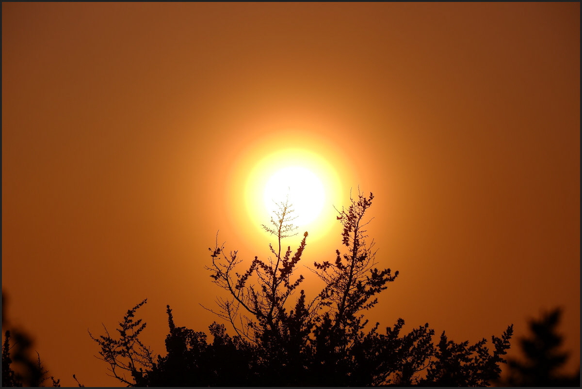 von Fotofan Andreas, fotografiert in Afrika