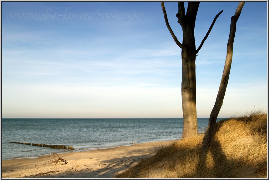 Am Weststrand des Darss auf Fischland-Darss-Zingst.