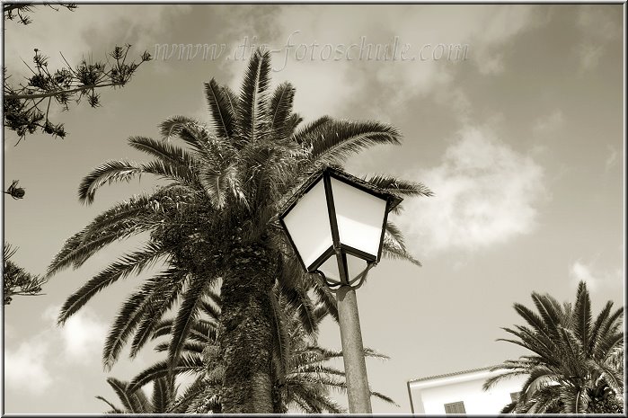 Aus meiner Fotoserie Menorca