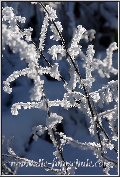 Dieses Foto aus meiner Fotoserie Winterlandschaften 