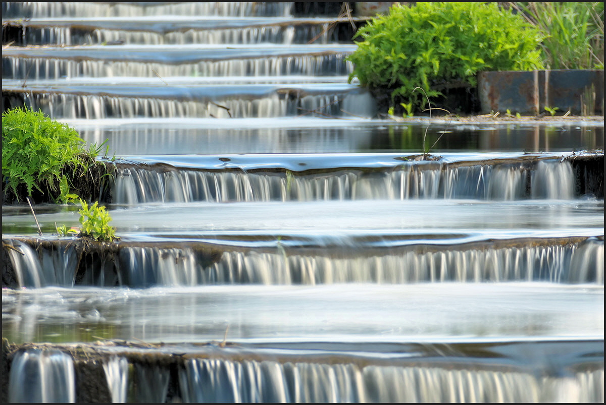 fotografiert von Fotofan Jan