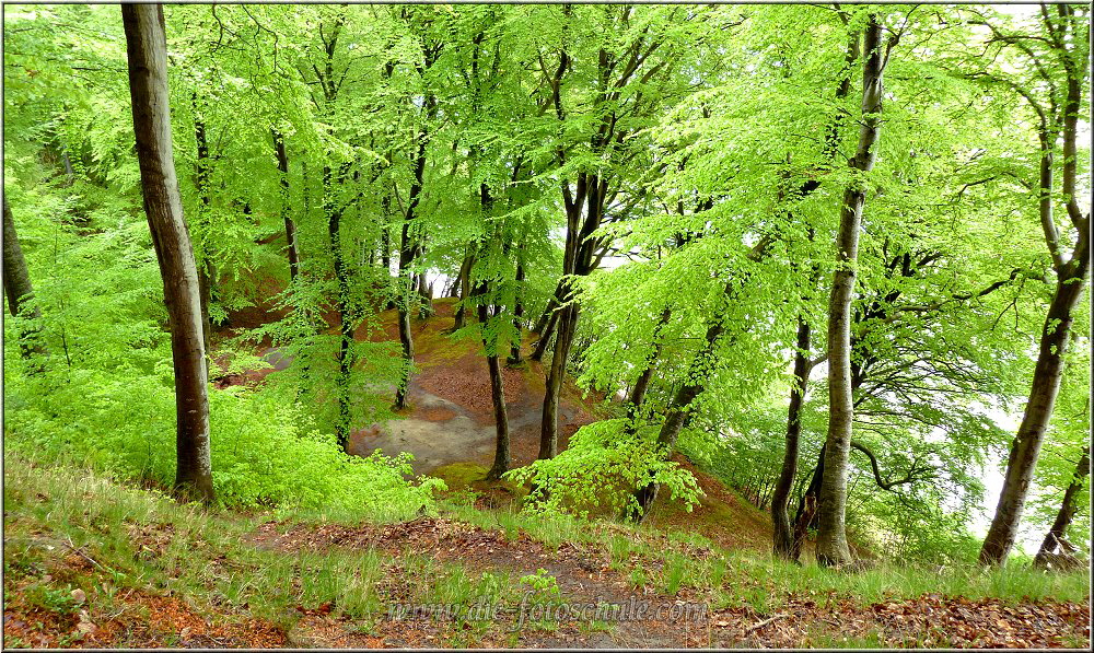 Kreidefelsen auf Rgen