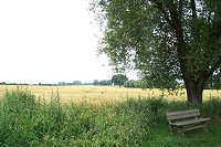 Landschaft Landschaft